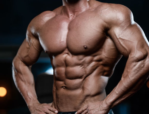 Wie viel Muskelmasse kann man insgesamt aufbauen?