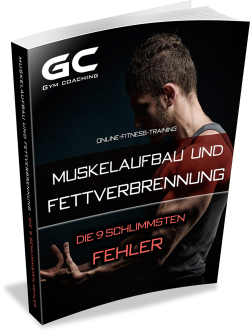Muskelaufbau Muskelaufbau